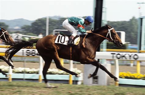 1978馬|生年[1978]の競走馬検索結果｜競馬データベー